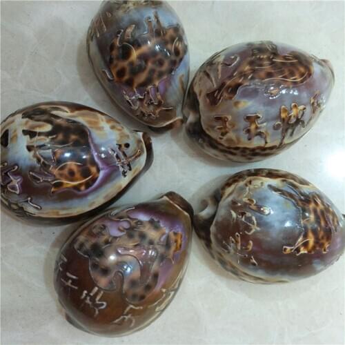 Chinese zodiac tiger scallop auspicious language shell natural shell and conch crafts wholesale hot sale small gift decoration