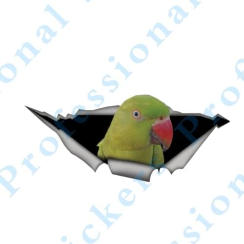 3D Animal 13 x 4.8 Amazon parrot Sticker Torn Metal Vinyl Decal Lovely Car Stickers Motorcycle Trunk Animal 3D Car Styling