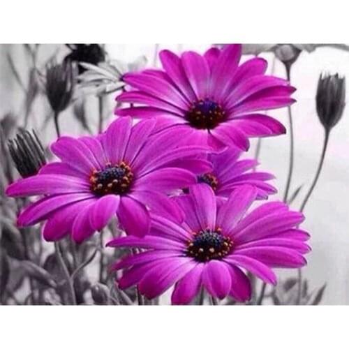 Flower Rose DIY 11CT Embroidery Cross Stitch Kits Craft Needlework Set Cotton Thread Printed Canvas Home Decoration Wholesale