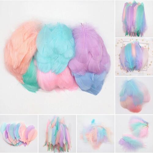 MISS ANNE Decorative Feathers