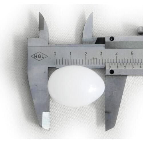 DOVE Fake Eggs for Hatch Pigeon birds Small Geese Incubation Breeding Solid