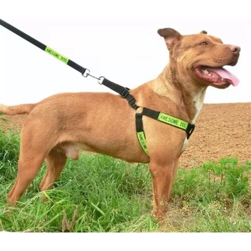 Dog Chest, Back or Seat Belt Attachment-reflective Nylon Traction Rope Chest Harness поводок для собак шлейка