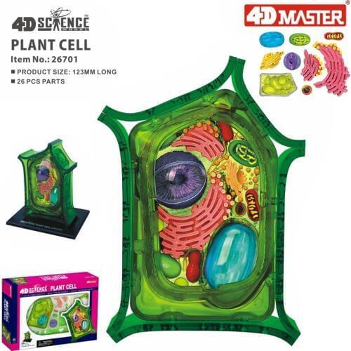 4D Plant cell Intelligence Assembling Toy Human Organ Anatomy Model Medical Teaching DIY Popular Science Appliances