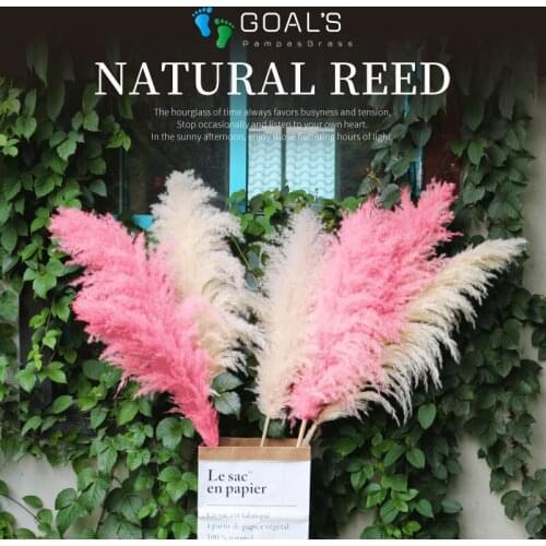 Pampas Grass Goals Wedding Decorations