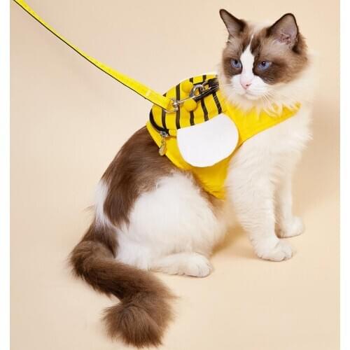 Small Dogs Harness + Dogs Leash Rope Set - No Choke Puppy Cat Dog Front Vest Harnesses Walking Lead Outdoor for Pet Corgi Poodle