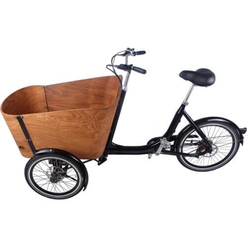 2021 New Style Kids Bike Electric Type Family Popular for Cargo Carriage Shopping Cart Street Hot Sale in Europe