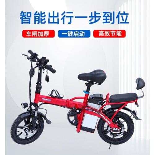 48V Folding Electric Bicycle MTB Brushless Motor Lithium Battery Bike Steel Frame E Bike