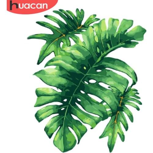 HUACAN Painting By Number Plant Drawing On Canvas HandPainted Painting Art Gift DIY Pictures By Number Leaf Kits Home Decor