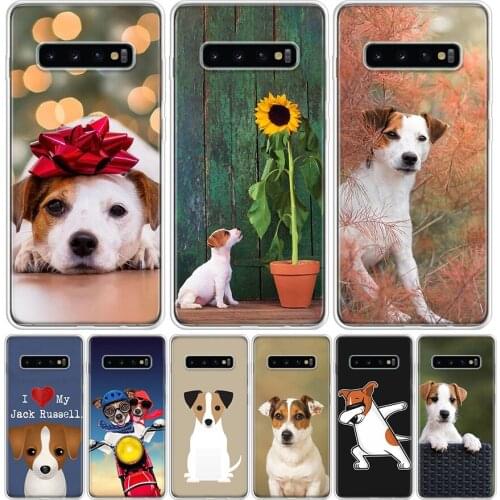 Jack Russell Terrier Dog Phone Case for Samsung Galaxy A51 A71 A50 A70 A40 A30 A20E A10 A01 A21 A41 M30S A6 A7 A8 A9 Plus + Cove