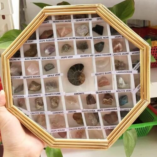 50 species Madagascar Natural crystalline mineral specimens Geological ore Teaching sample healing collection of fossil decor