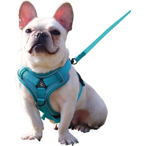 Pet Chest Back Set High-Brightness Reflective Four-Point Adjustment Elastic Design on Both Sides Sandwich Mesh Breathable Vest