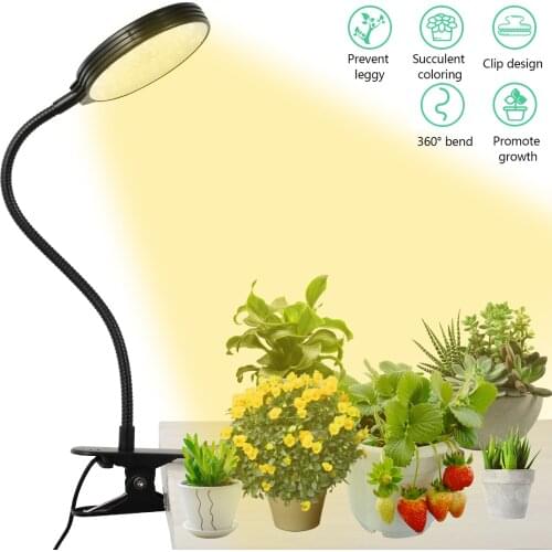 Everso Professional Lighting