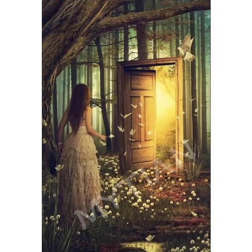 Fantasy girl butterfly door decor Embroidery Pattern square/round diamond 5D DIY paintings 3D Cross stitch kits mosaic stickers