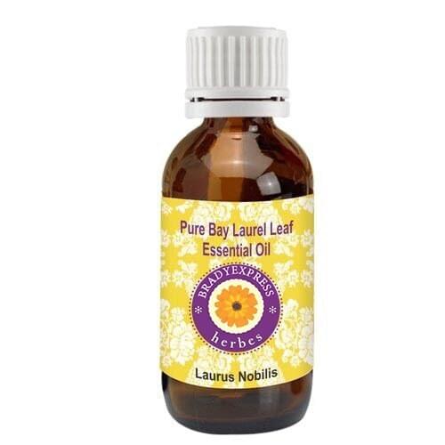 FRee Shipping Pure Bay Laurel Leaf Essential Oil Laurus nobilis 100% Natural Therapeutic Grade 5ML