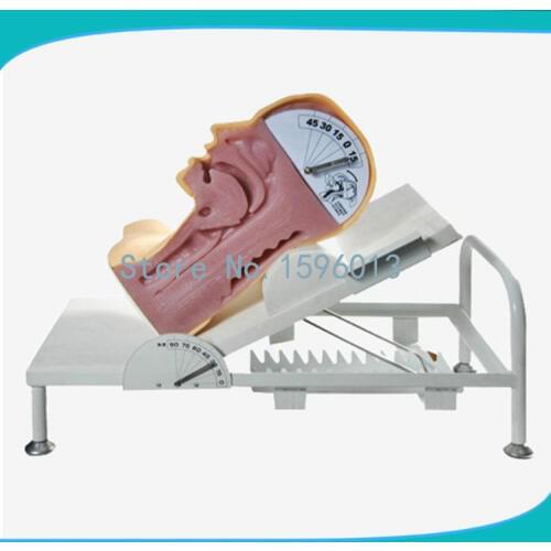 Swallow Mechanism Simulator