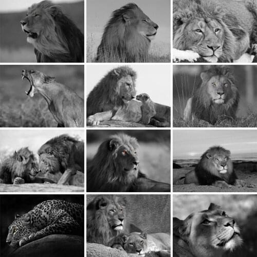 EverShine Diamond Embroidery Full Square Drill Lion Diamond Painting Animal Mosaic Kits Bead Rhinestone Picture Wall Art