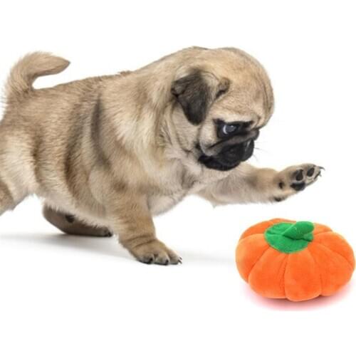 1pc Pumpkin Shape Pet Toy Creative Cartoon Plush Dog Toy Bite-Resistant Pet Chew Toys Pet Squeaky Toys Pet Supplies