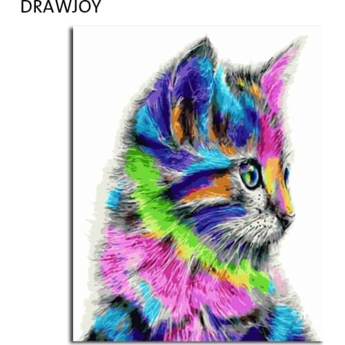 DRAWJOY Framed Picture Painting & Calligraphy Of Loely Cat DIY Painting By Numbers Coloring By Numbers