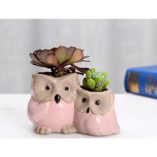 New Succulent Plants Flowerpot Couple Owl Flower Pot Green Planter Simple Style Ceramic Crafts Bonsai Planters Desktop Ornaments