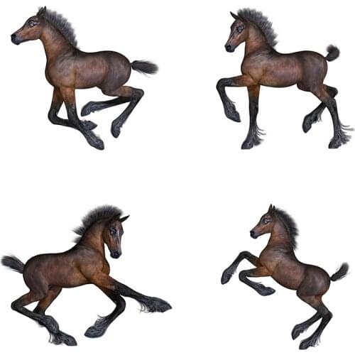Three Ratels QC483 fine horse wall Stickers home decoration living room Anime Vinyl car Stickers