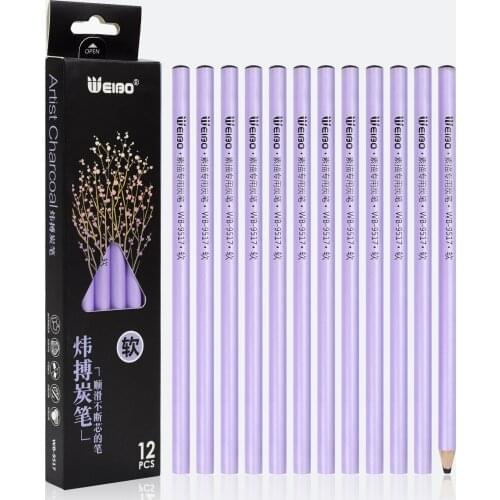 12 Pcs Professional Sketching Charcoal Pencil Drawing Carbon Pen Extra Soft Soft Medium Hard Manga Painting Supplies Non Toxic