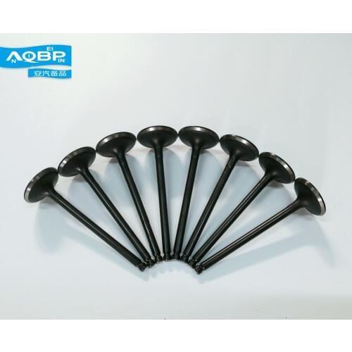 Auto Replacement Air Exhaust System Parts OE number 1003202GE for JAC S5 2.0 Intake valve Black