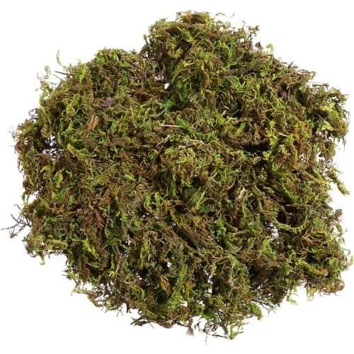 3 Packs Artificial Moss Lichen Simulation Fake Green Plants for Home Garden Patio Decoration (About 60g)