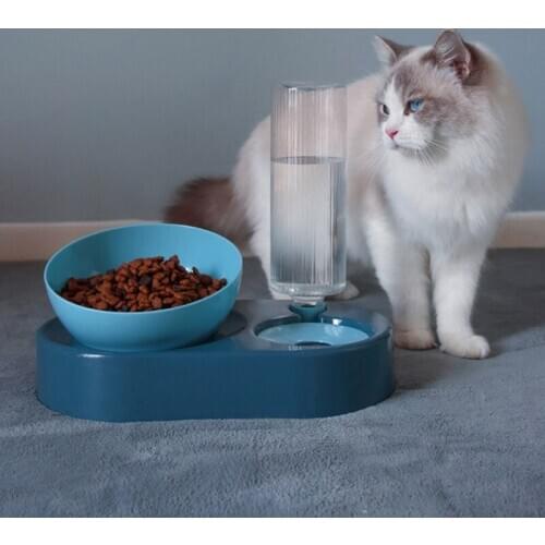 New Pet Dog Bowl High capacity Small And Medium Dogs Cat Bowl Automatic Cat Water Dispenser Pets Supplies Plastic Double Bowls
