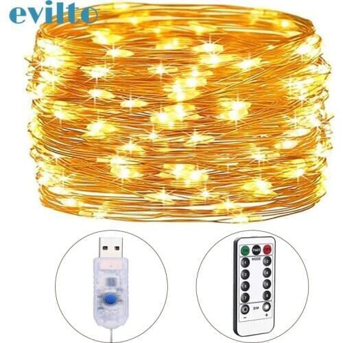 Evilto LED String Lights With Transparent Wire