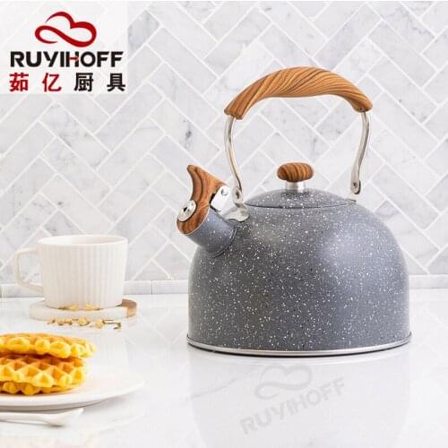 New Whistle Kettle Folding Handle 2.5L Tea Brewing Milk Boiling Water Small Kettle Hot and Cool Kettle