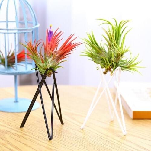 1Pcs Creative Plants Iron Bracket Indoor Air Pineapple Green Soilless Potted Black White Desktop stent Home Garden Supplies