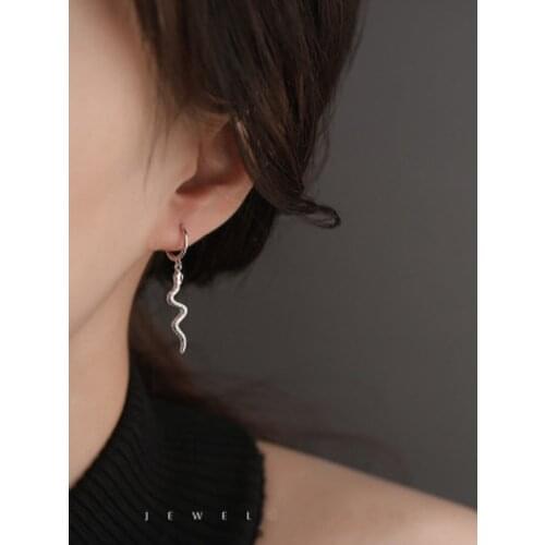 REETI 925 Sterling Silver Earrings Snake Stud Earrings For Women Gift Earings Fashion Jewelry Korean Earrings