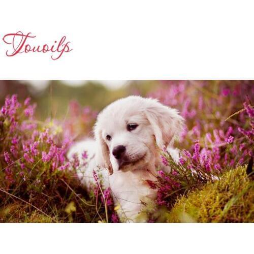 TOUOILP 5D DiLilac lavender flowers and dog amond Painting Full Square/Round Drill 3D Embroidery Cross Stitch Mosaic Home Decor