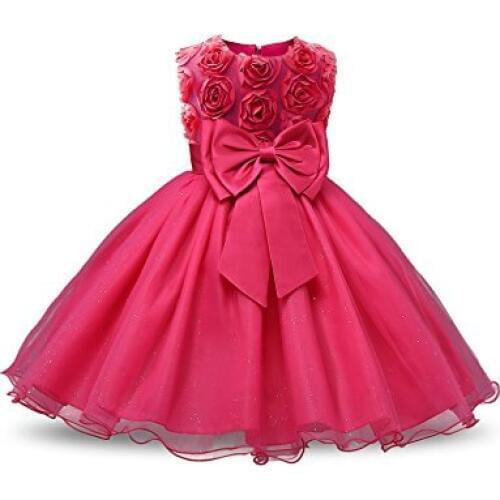 Girl Sleeveless Lace 3D Flower Tutu Holiday Princess Dresses