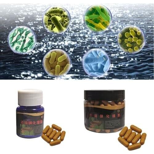 Aquarium Nitrifying Bacteria Super Concentrated Capsule Fish Tank Pond Cleaning Water Purifier Supplies for Fish Aquatic Pet C42
