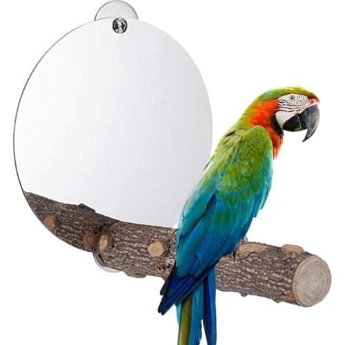 Stainless Steel Bird Mirror with Perch Parrot Mirror Toy Feet Paw Grinding Nature Wood Stick Playing Stand Platform