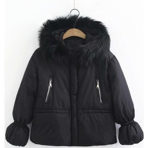 Winter jacket women 2019 parka Long Female Women Winter Coat Thickening Cotton Outwear Fox Fur Collar puffer jacket female coat
