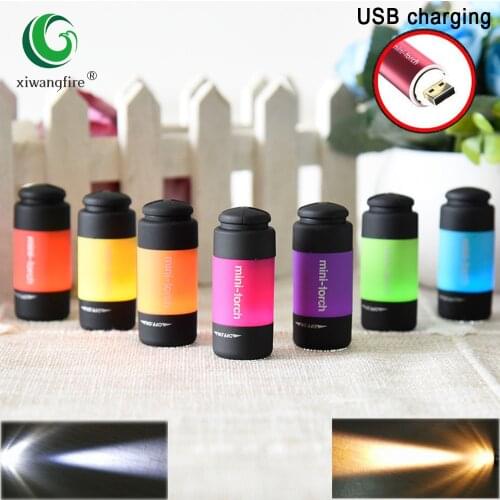Mini Torches Led Light USB Rechargeable 5W Lum Portable Led Flashlight Keychain Torch Lamp Waterproof Camping Light USB Charger