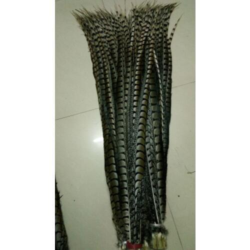 Wholesale perfect 100pcs original natural Lady Amherst Pheasant Feather 36-40inch/90-100cm Decorative diy Performance Accessorie