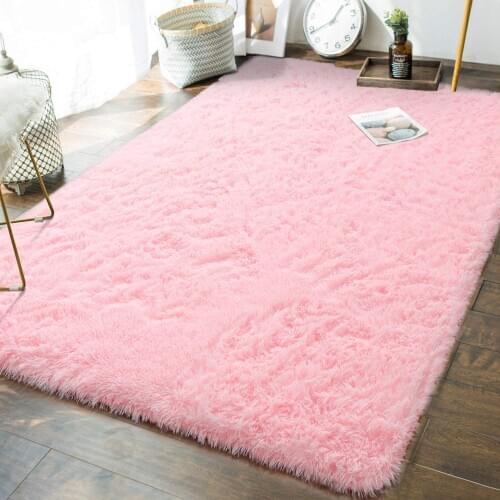 Soft Fluffy Bedroom Rugs Indoor Shaggy Plush Area Carpet for Boys Girls College Dorm Living Room Carpet Home Decor Floor Carpet