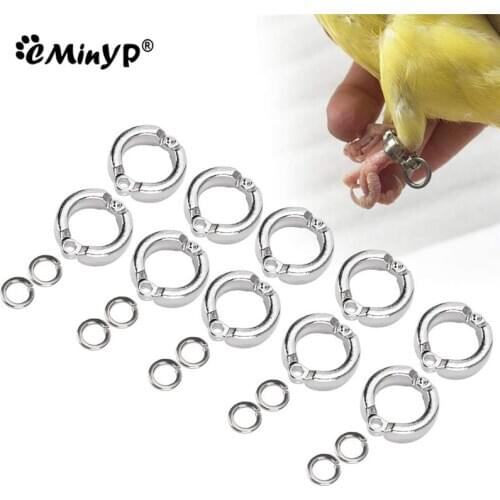 Parrot Foot Rings Metal Pet Bird Leg Rings Outdoor Fly Training Activity Anti-Lost Opening Clip Leash Accessories 0.45 To 1.15CM