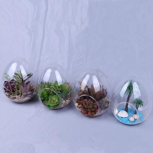 8pcs/pack 10*15cm Big Size Egg Shaped Glass Terrarium Vase Diameter=8cm Height=10cm Microscape Hydroponic Plant Decoration