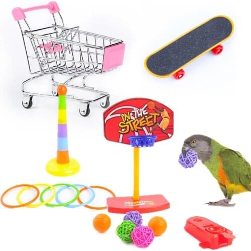 IQ Training Pet Bird Toy Kit Interactive Parrot Equipment Set Funny Bird Activity Parrot Toy Pet Bird Basketball Skateboard