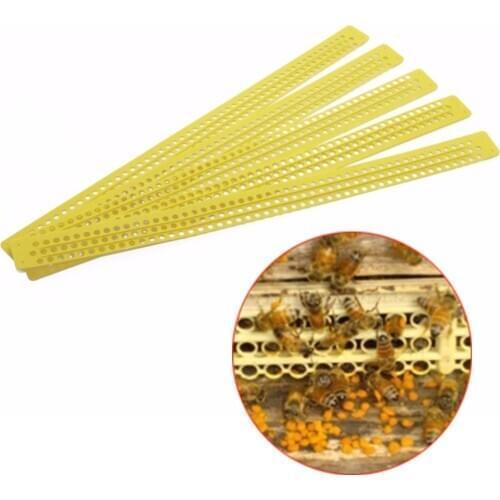 10pcs polen bee pollen collector plastic trap catcher sheet beekeeping apiculture Tools bees hive entrance supplies equipment