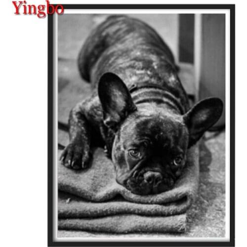 5D DIY Diamond Painting French Bulldog Diamond Mosaic Cross stitch full Square/round diamond Rhinestone Picture Home Decor
