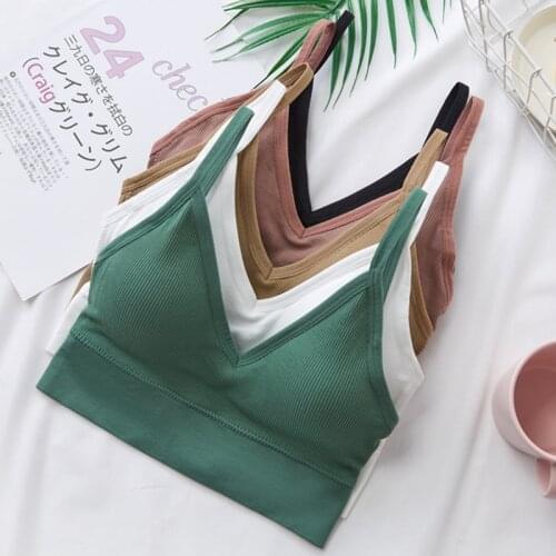 Shascullfites Women Underwear