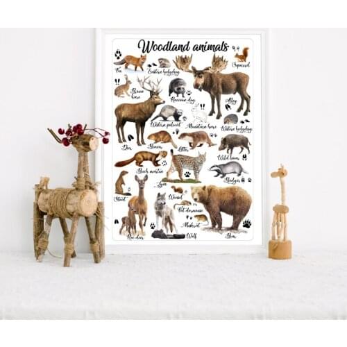 Woodland Animals Educational Kids Room Decor Canvas Painting Prints Posters Watercolour Wall Art Modern Nordic Home Decoration