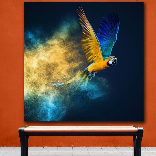 Fashion Oil Painting Blue and yellow macaw Paiting Home Decor On Canvas Modern Wall Art Canvas Print Poster Canvas Painting