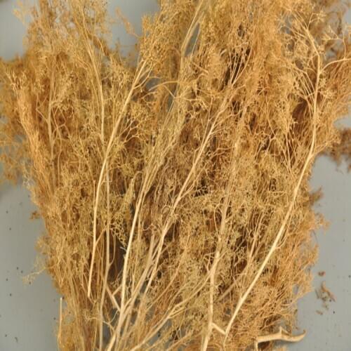 Scene Model Tree Production Natural Grass For Architecture Diy Model Building Design Hobby Maker