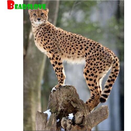 Full square round Diamond 5D DIY Diamond Painting animal leopard diamond Cross Stitch Rhinestone Mosaic Painting Decor Gift